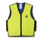 Ergodyne Chill-Its 6665 yellow and blue quilted cooling vest with front zipper closure.